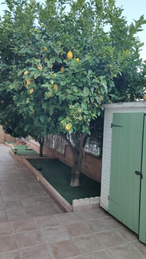 Es Cantonet Calvia  Екстер'єр фото